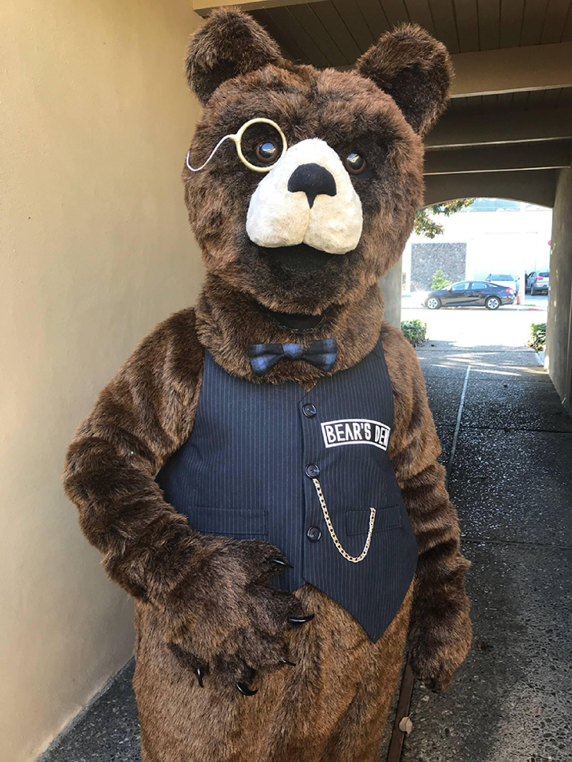 Aardvark Mascots-Bear-Meridian Hospital